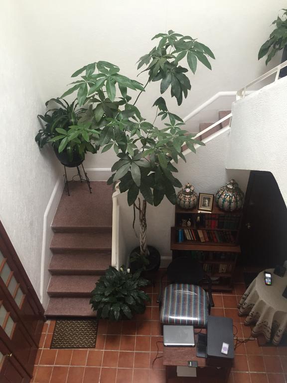 Casa Maria Elena Condesa (Adults Only) Otel Meksika Dış mekan fotoğraf