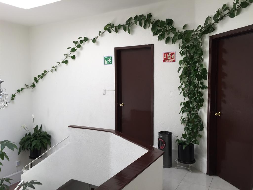 Casa Maria Elena Condesa (Adults Only) Otel Meksika Dış mekan fotoğraf