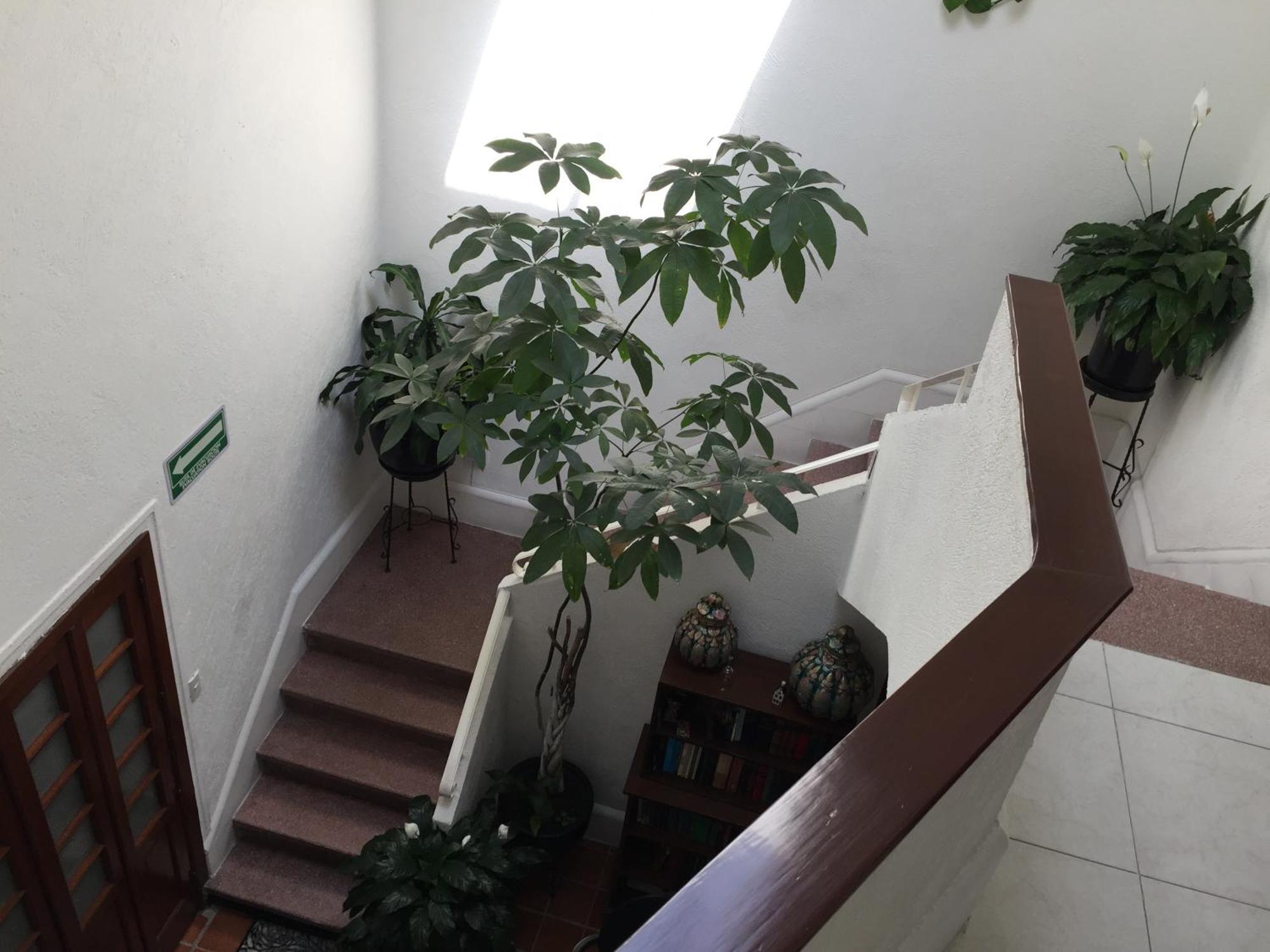 Casa Maria Elena Condesa (Adults Only) Otel Meksika Dış mekan fotoğraf