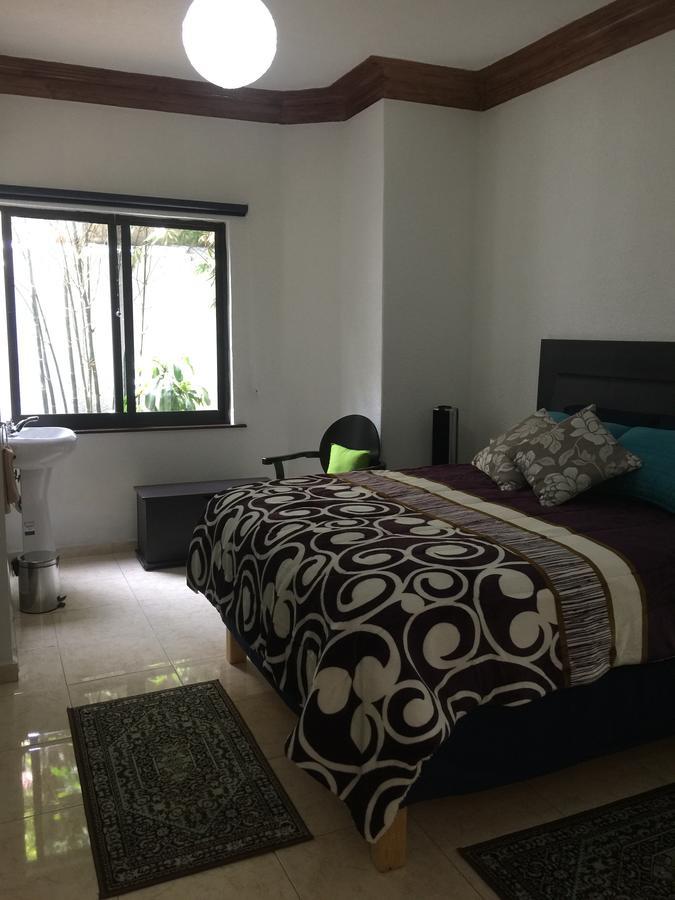 Casa Maria Elena Condesa (Adults Only) Otel Meksika Dış mekan fotoğraf
