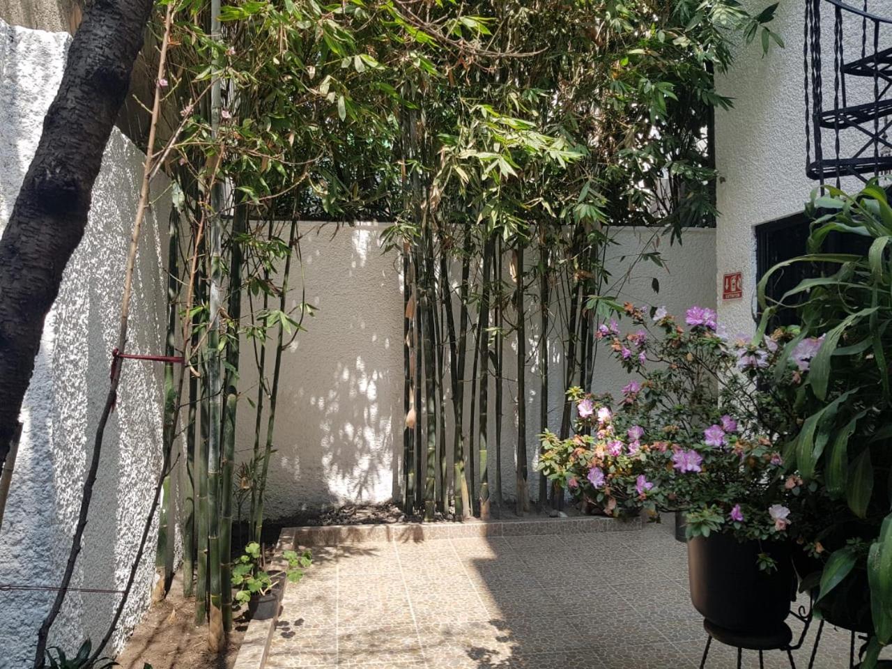 Casa Maria Elena Condesa (Adults Only) Otel Meksika Dış mekan fotoğraf